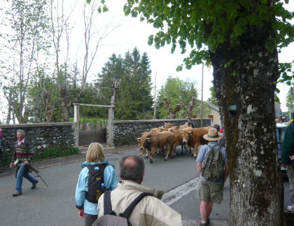 draille ad Aubrac