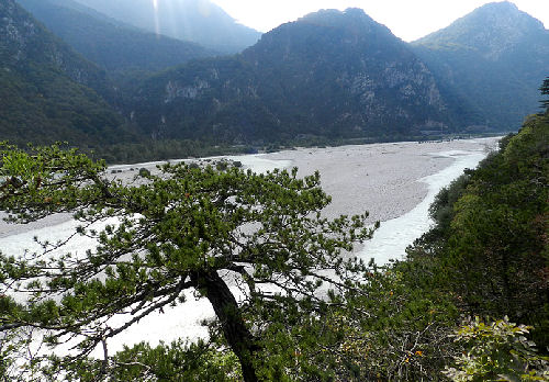il Tagliamento