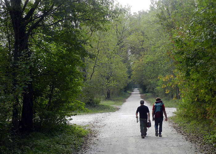 via Tagliamento